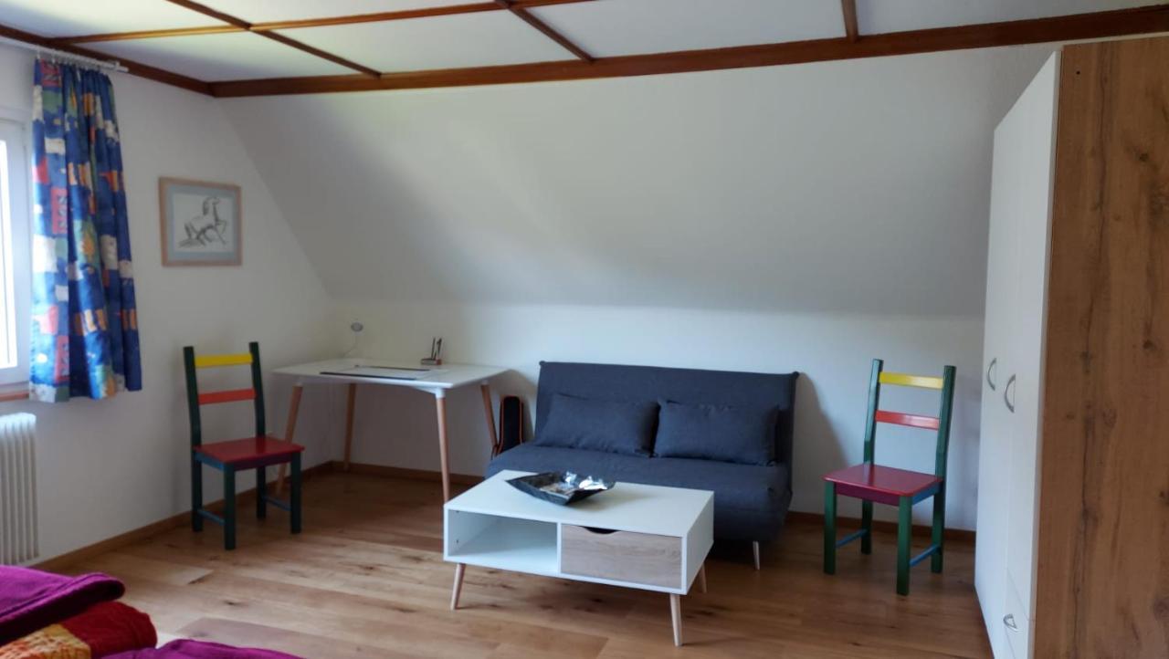 Ferienhaus Barbey St. Blasien Exterior photo