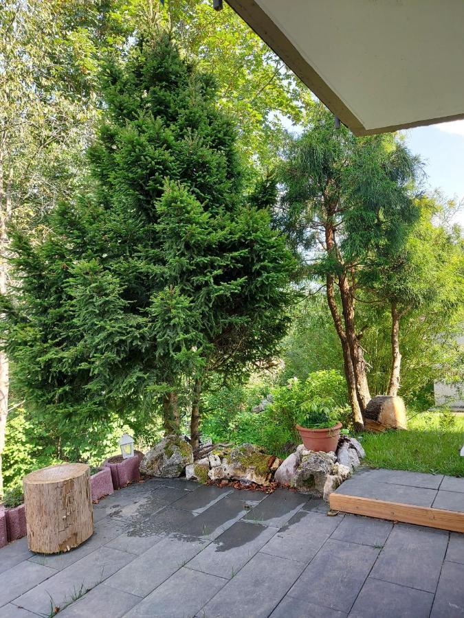 Ferienhaus Barbey St. Blasien Exterior photo