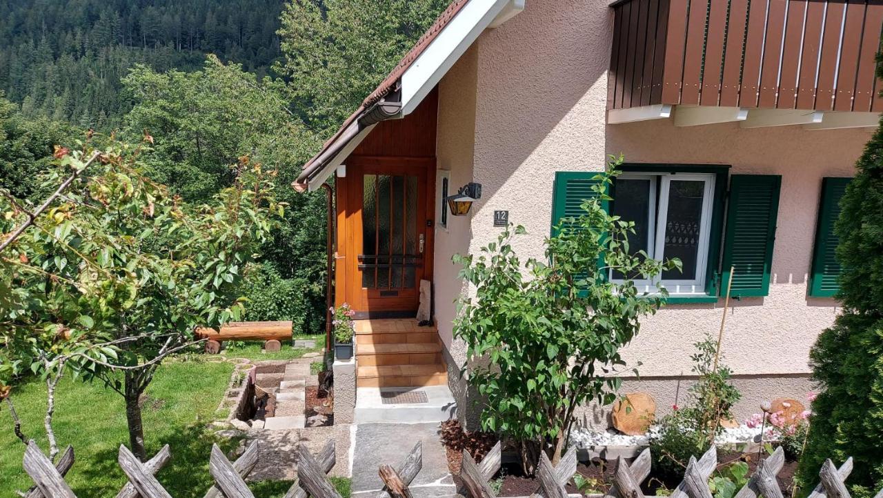 Ferienhaus Barbey St. Blasien Exterior photo