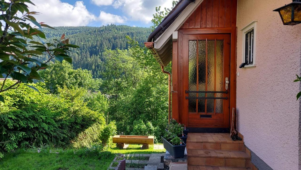 Ferienhaus Barbey St. Blasien Exterior photo